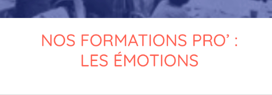 ÉMOTIONS ET DÉFICIENCE VISUELLE : SOUTENIR L'APPRENTISSAGE DES ÉMOTIONS PAR DES ACTIVITÉS MULTISENSORIELLES